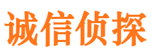 沈阳外遇出轨调查取证